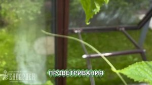 🎥 Заглянули к нашему заказчику — показываем результат!