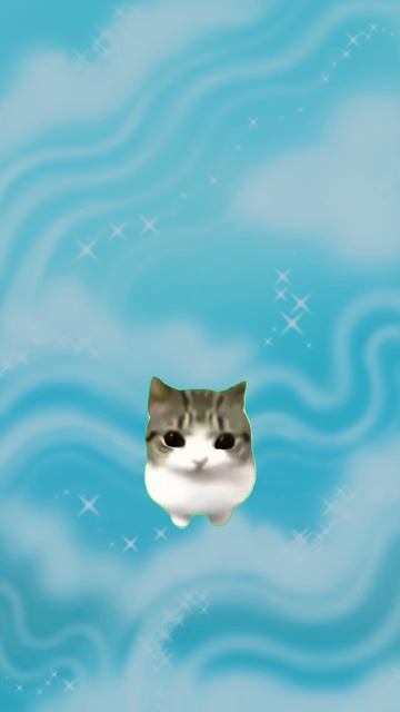 Котик одобряет игры