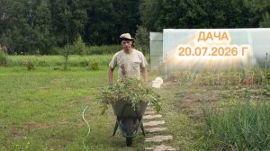 ДАЧА 20 ИЮЛЯ 2026 Г