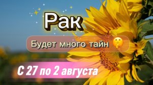 РАК _ недельный ГОРОСКОП 🚩  с 27 по 2 августа ‼️ #гадание #таро #раскладтаро