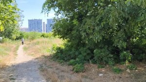 Хитрости взаимщиков на канале, иду и рассказываю. А у вас так бывает?