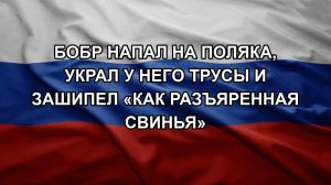 Бобр напал на поляка, украл у него трусы и зашипел «как разъяренная свинья»