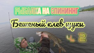ЗАЧЕТНАЯ РЫБАЛКА на злых хищников со спиннингом!!!! Верный рыбапес опять в деле!!!День7, Ч. 2