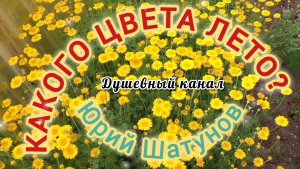 КАКОГО ЦВЕТА ЛЕТО 🌞🌴🏄🎇