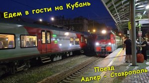 В специализированном купе с собакой🐶 / Поезд Адлер - Ставрополь🚂 / Едем в гости на Кубань🤗