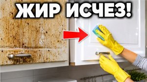 Даже старый жир отмывается легко. Проверенный способ