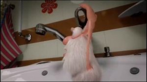 rytp Буба 2 часть