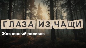 ГЛАЗА ИЗ ЧАЩИ | СБОРНИК ЛЕСНЫХ ИСТОРИЙ