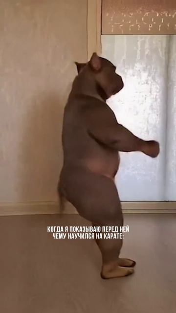 Первая тренировка по ММА