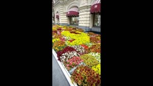 КРАСОТА!!!  Полюбуемся?!