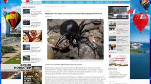 Бесплатный земельный участок, жертвы каракурта и спасение трех новорожденных