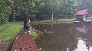 Утро на верхнем. Поимки и сходы карпа. Клёвое место, Лосиный остров.