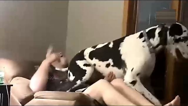 Всячинки смотреть онлайн