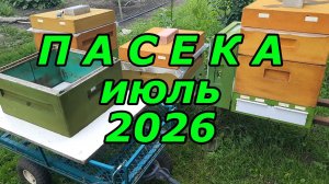ПАСЕКА июль 2026