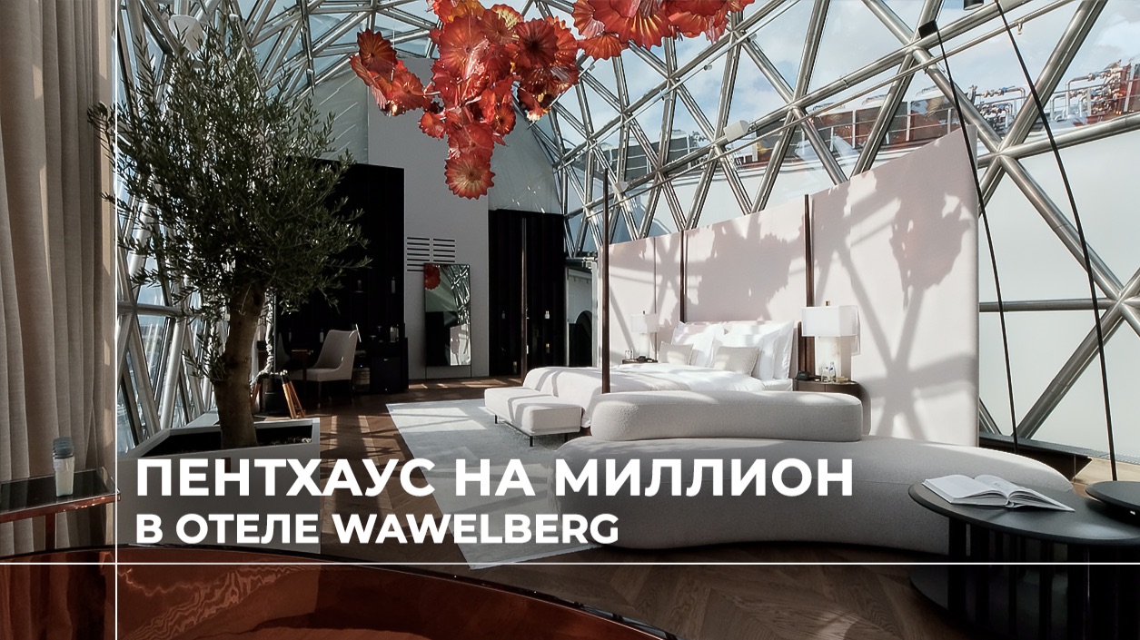 Обзоры проектов