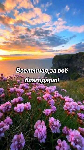 Вселенная,за всё благодарю! смотреть онлайн