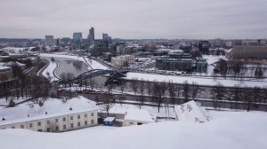 КОЛОБОК ИЗ ОДЕССЫ - ОДЕССКИЙ БРОДЯГА ЛЬВОВ❗БУНТ❗НАЧАЛОСЬ❗