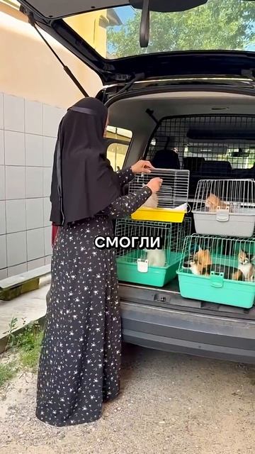 Что вы об этом думаете? #помощьживотным