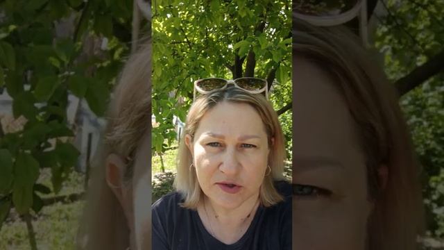 Отзывы