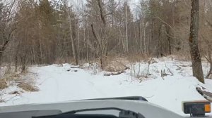 По зимниму Алтайскому лесу