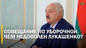 НАРУЧНИКИ СРАЗУ НАДЕВАЙТЕ! Лукашенко пошел на крайние меры/ Жесткое совещание по уборочной. ГЛАВНОЕ