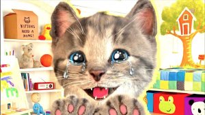 Милый котенок, маленькое кошач