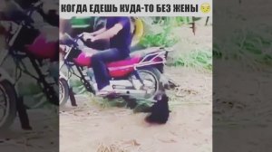 Не поедишь без меня)))))