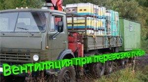 Вентиляция при перевозке пчёл: как не задушить семьи в дороге? Отвечает профессор Пашаян 🐝🚛