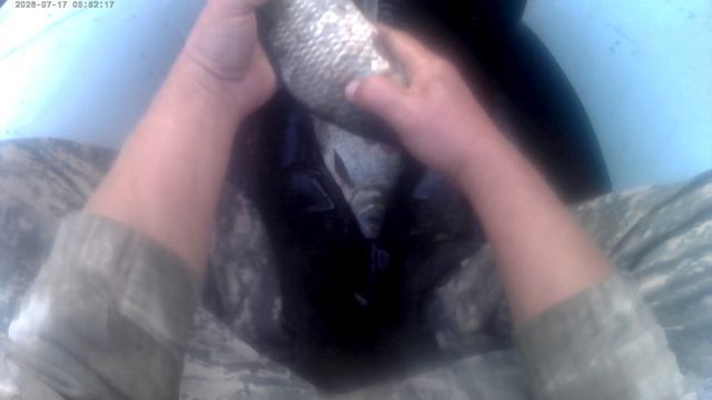 🐟🐟🐟ПОЙМАЛИ РЫБКИ🐟🐟🐟 смотреть онлайн