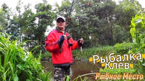 ПОИСКОВАЯ РЫБАЛКА РАЗНАЯ РАЗМЕР НЕВАЖЕН ОТДЫХ НА ПРИРОДЕ НА РЕЧКЕ ГОРАЗДО ПОЛЕЗНЕЕ КЛЕВАЛА МЕЛОЧЬ