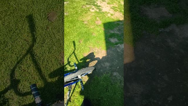1000001633.mp4 смотреть онлайн