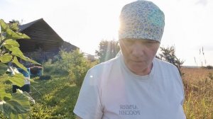 Собрала ягоды ,снова желе ,спилили дикую сливу.