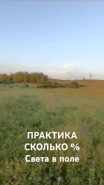 1 ноября 2024 г.