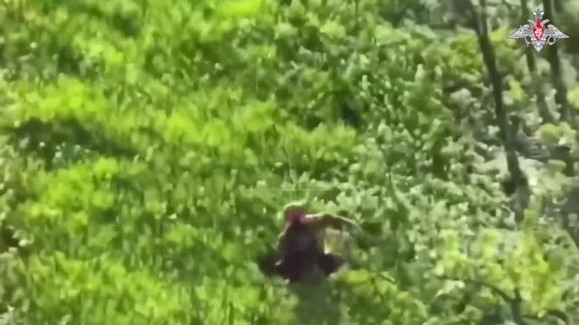 Военнослужащие ГрВ «Днепр» зачистили ОП противника смотреть онлайн