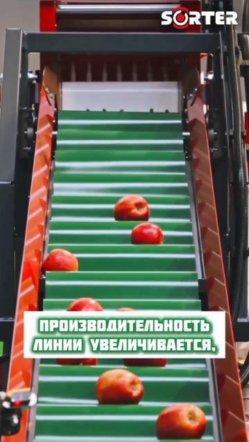 Автоматический наполнитель контейнеров от SORTER