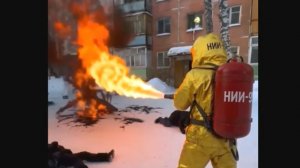 Генерация видео - это весело. Аномалия НИИ-95.