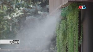 Жара под +40°С и ливни идут в Волгоградскую область