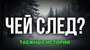 ЧЕЙ СЛЕД | таежные истории