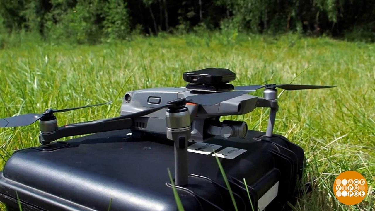 Им сверху видно все. Доброе утро. Фрагмент выпуска от 21.07.2026 смотреть онлайн