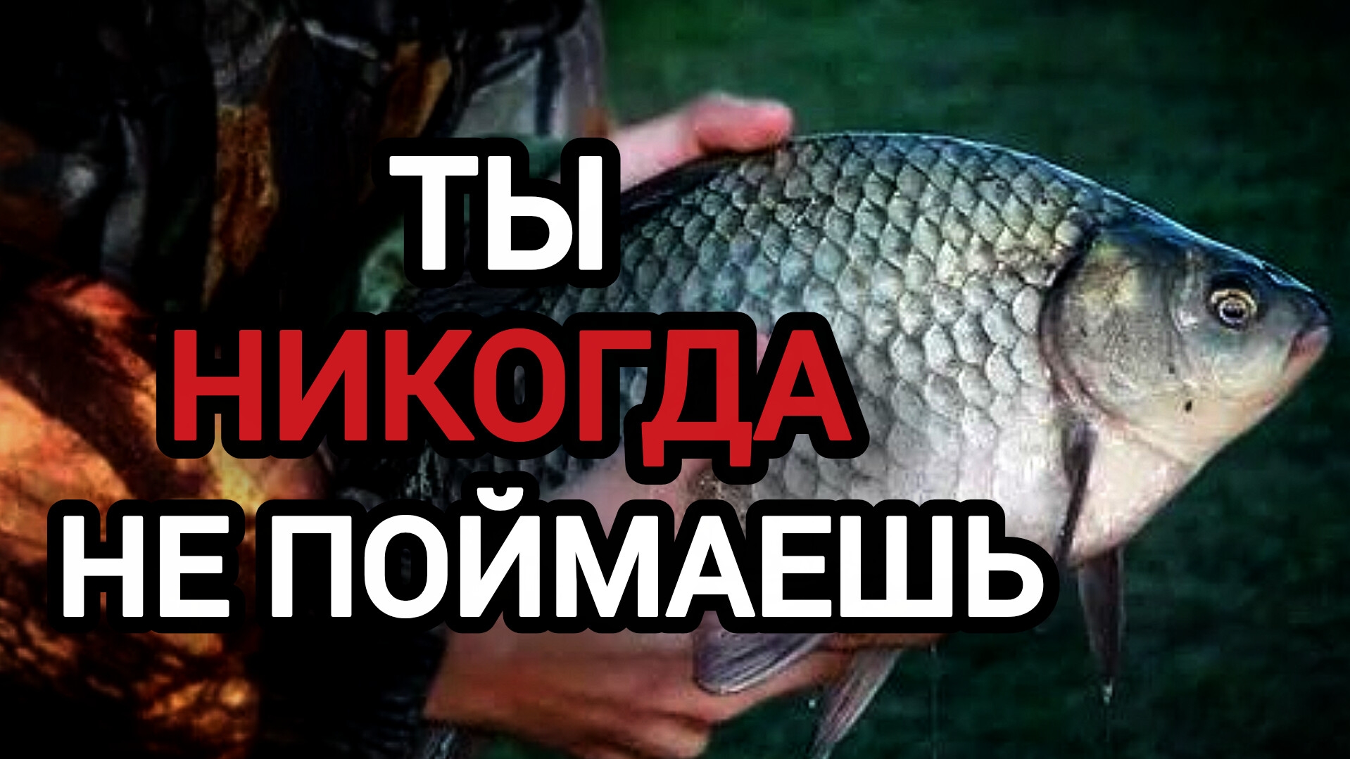 Ты НИКОГДА НЕ ПОЙМАЕШЬ КАРАСЯ, как и 99% рыбаков! Как Ловить Карася Летом! Пособие ПО ЛОВЛЕ КАРАСЯ! смотреть онлайн