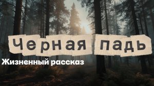 ЧЕРНАЯ ПАДЬ | жизненные истории | таежные рассказы