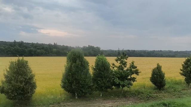Мы опять в дороге 21.07.26. смотреть онлайн