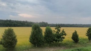 Мы опять в дороге 21.07.26.