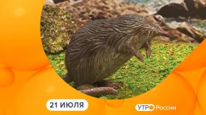 Утро России. Калуга (21.07.2026)