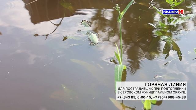 СЕРОВСКАЯ ГОРОДСКАЯ ПРОКУРАТУРА ОТКРЫЛА ГОРЯЧУЮ ЛИНИЮ ДЛЯ ПОСТРАДАВШИХ ОТ ПОДТОПЛЕНИЯ ГРАЖДАН