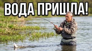 Вода на Подъем Щука в Траву! Забродная Рыбалка на Оке! Ловля на Воблер!