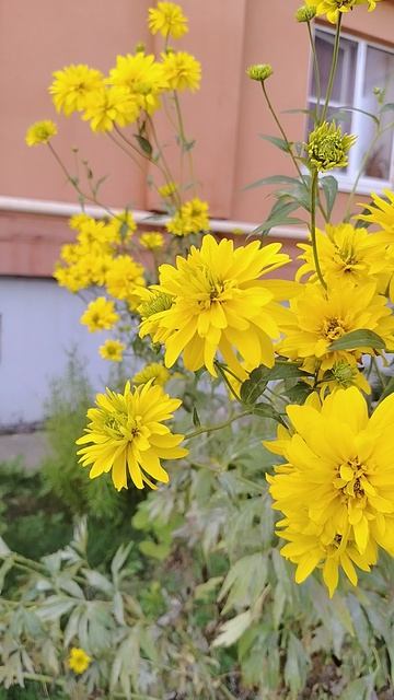 21-07-2026 смотреть онлайн