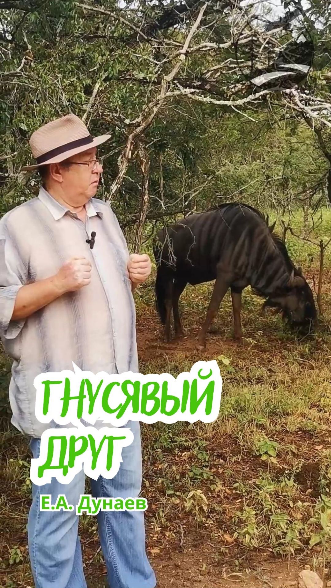 Гнусявый друг смотреть онлайн
