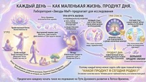 День - маленькая жизнь,цикл обретения опыта,реализация предназначения и Продукт служения.Данна Сивко