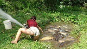 Техника рыбной ловли во Вьетнаме. Откачиваю воду насосом и собираю рыбу. Торговля на рынке